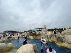 -渔岛海洋度假区