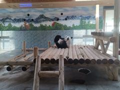 -西安秦岭野生动物园