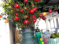 -山有花啡餐厅(常营总店)