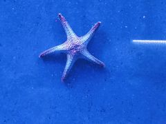 -沈阳海洋探索中心