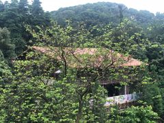 -广州市帽峰山景区