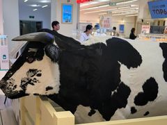 -红星前进面包牛奶公司(君太店)