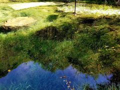 -叠溪松坪沟景区