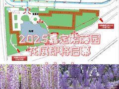 -嘉定紫藤园