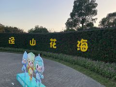 -径山花海