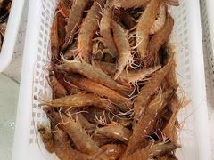 -海岸风情蒸汽海鲜自助餐厅(家宴金手勺店)