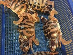 -幸福姐海鲜大排档