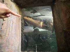 -青青世界
