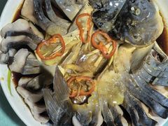 -煲来饱去冷水鱼