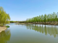 -东郊湿地公园
