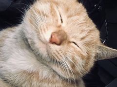 -老陕味道主题餐厅煎饼坊(东关店)