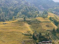 -龙脊梯田风景名胜区游客中心-停车场