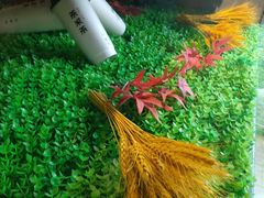 -呷哺呷哺 黄金牧场 (枣强吉美购物广场店)