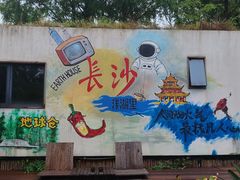 -洋湖国家湿地公园