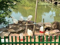 -太湖饭店玉兰厅(自助餐厅)