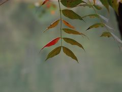 -昆嵛山石门里景区