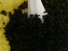 -绿岛生态园