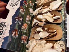 -芸山季·云南山珍菌火锅(人民广场来福士店)