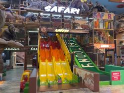 -卡通尼·Safari非洲探索乐园·生日会(金桥国际商业广场店)