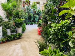 -南汇花鸟市场(上海浦东新花卉店)