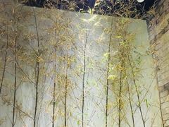 -茶理宜世(东方宝泰店)