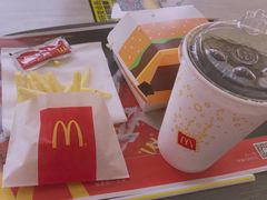 -麦当劳(塔园路店)