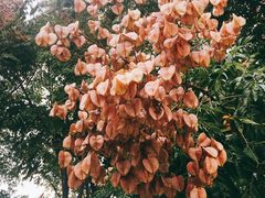 -呼吸森林·生态农庄农家乐私房菜