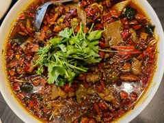 -一品粤珍轩(吴中路店)