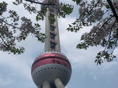 -东方明珠广播电视塔