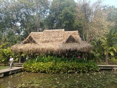 -中国科学院西双版纳热带植物园