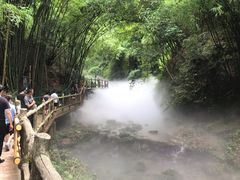 -川西竹海景区