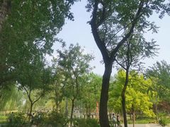 -东郊湿地公园