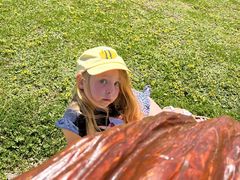 -Dooley's Premium Ice Cream