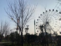 -花博汇(知音花月夜)
