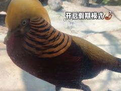 -杭州野生动物世界