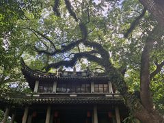 -蒋氏故居