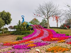 -东莞植物园