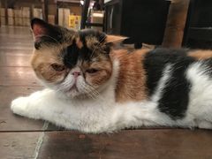 -谷咖啡·鲜花绿植花园餐厅