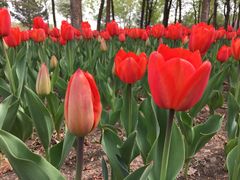 -长春公园(普阳街道)