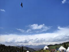 -新疆那拉提国家旅游度假区