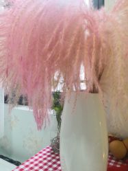 -UN·桃喜日系美睫美甲