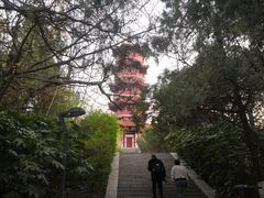 -云龙山
