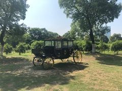 -艾溪湖湿地公园