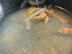 -百年果林椰子鸡(中洲店)
