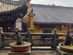 -九华山风景区