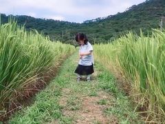 -艾米稻香小镇