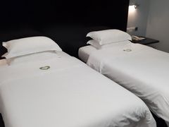 -南美元生态大酒店(海珠店)