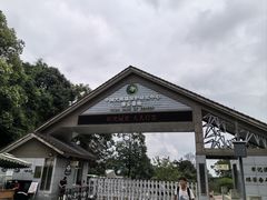 -中国大熊猫保护研究中心雅安碧峰峡基地