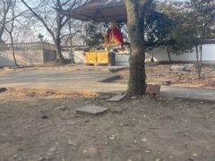 -上海佘山国家森林公园天马山园