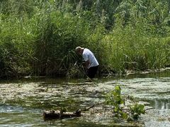 -淇河国家湿地公园